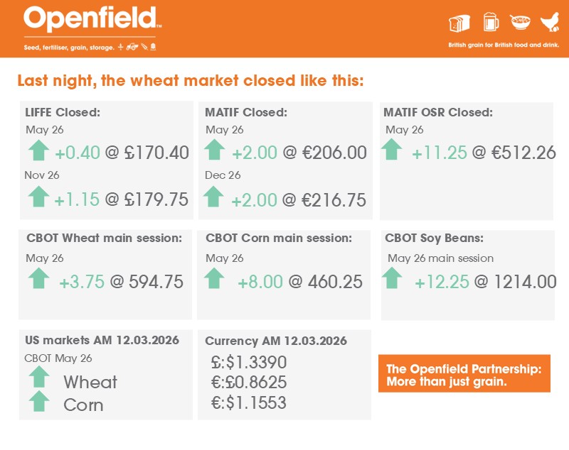 Openfield: More than just grain. tweet media