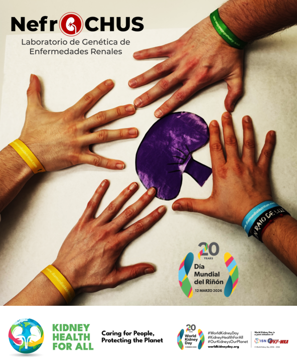 NefroChus's tweet photo. Hoy es el #DíaMundialDelRiñón y queremos recordarte la importancia de cuidar tus riñones poniendo en práctica las 8 reglas de oro para reducir el riesgo renal 🫘
👇👇👇 https://t.co/gryxJjToBa