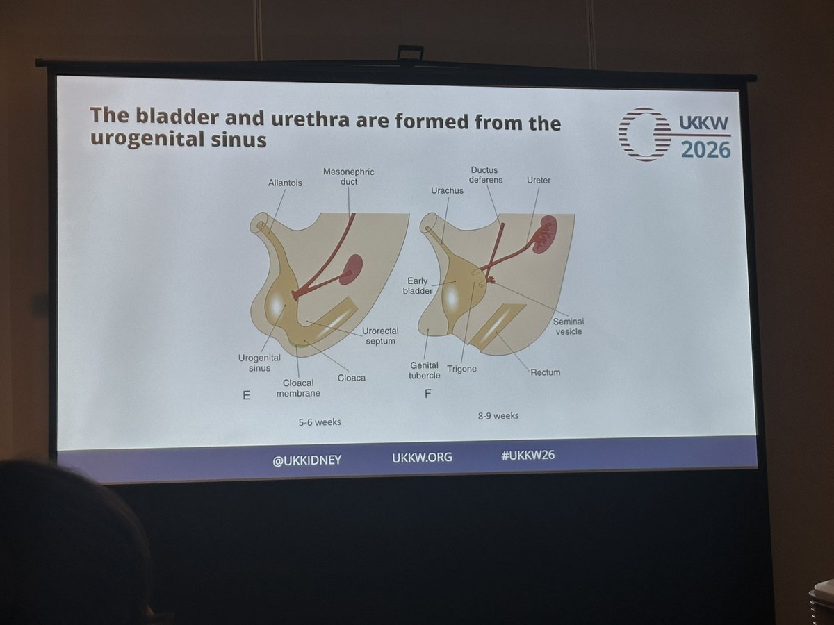 The RPSG tweet media