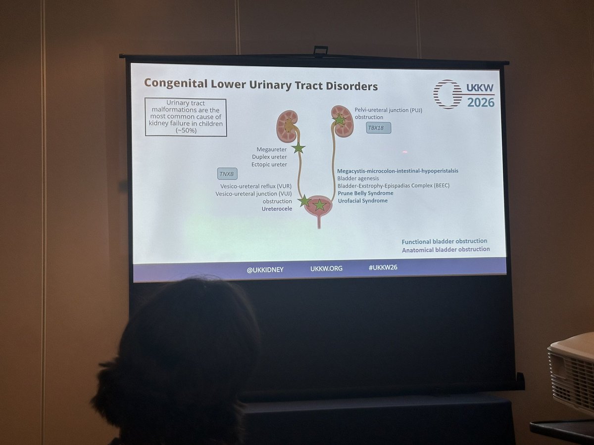 The RPSG tweet media