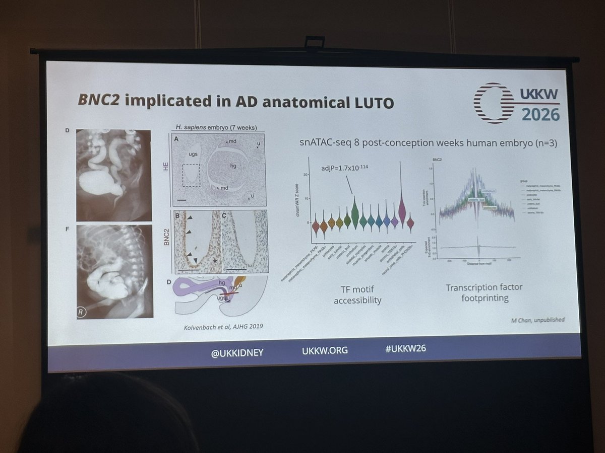 The RPSG tweet media