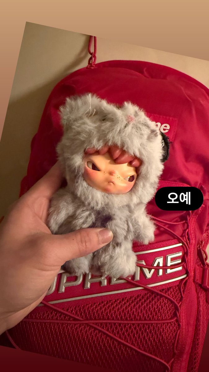 쓰니아카이브… tweet media