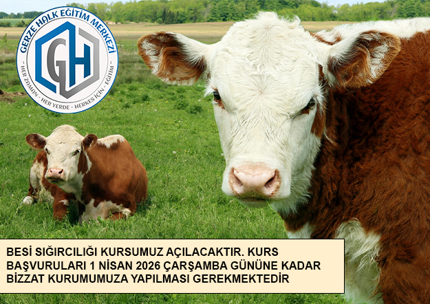 GerzeHEM's tweet photo. https://t.co/N54fyC9OaQ