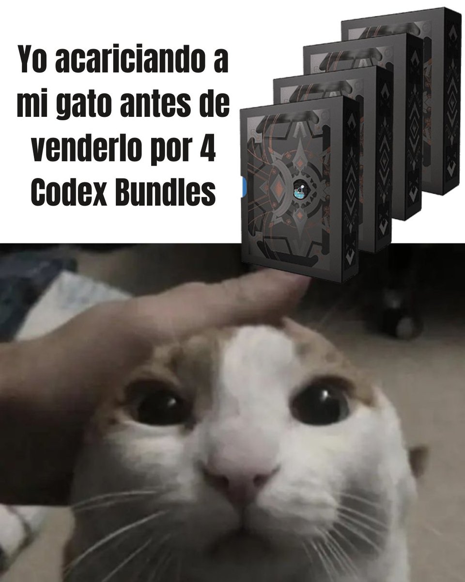 MUJERES EN MAGIC tweet media