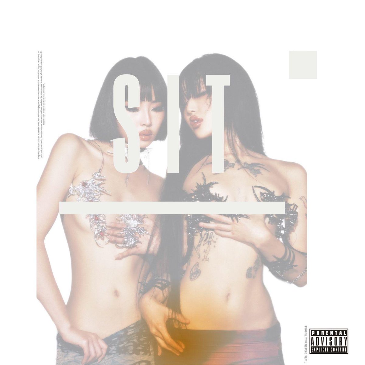 XWest85122's tweet photo. 🚨Upcoming @LOKII8FORTY  release 

🎵SIT

Out 27th this month 💥 https://t.co/nSHQBMHGhM