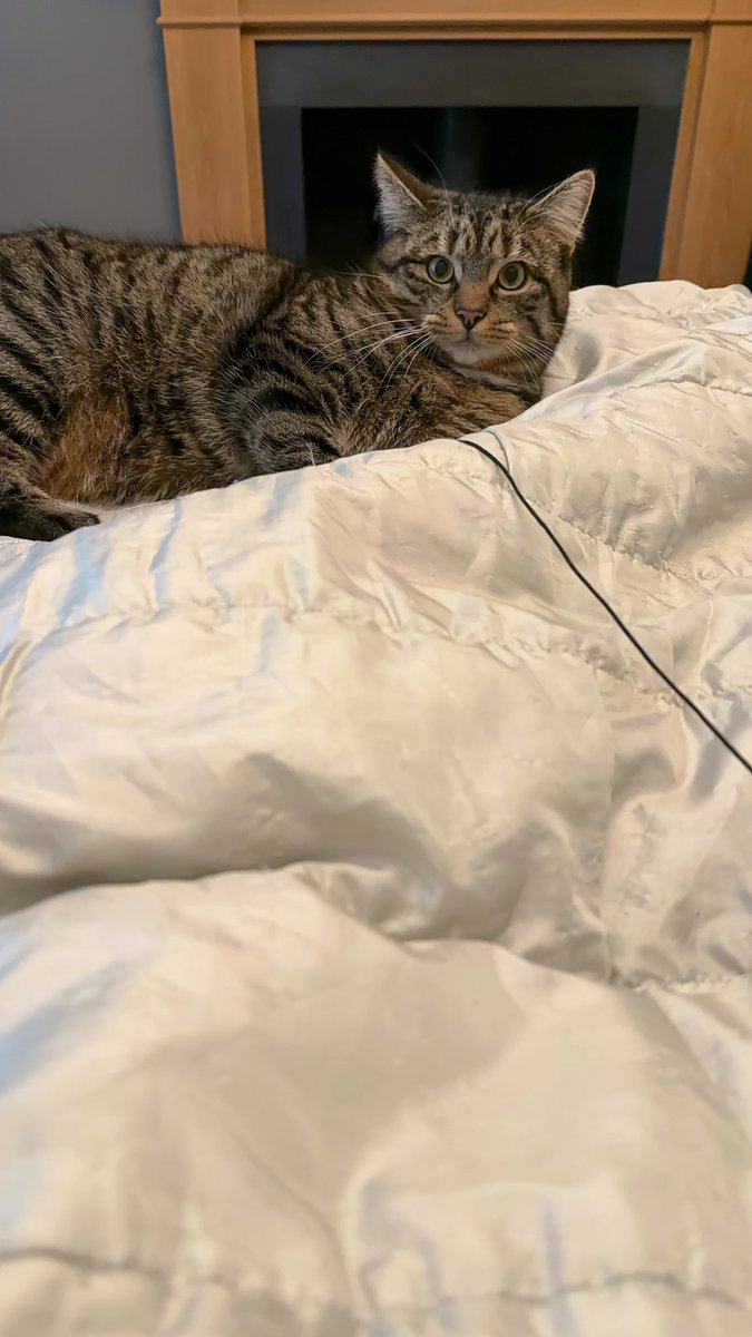 Alison Burns tweet media