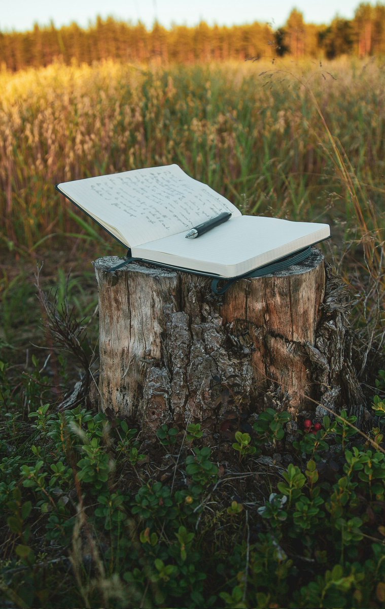 Empty pages whirl. 
A #magnanimous approach 
soothes the story out.

#haiku #vss365