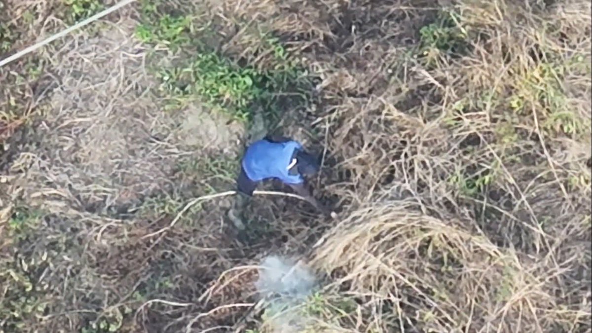 บก.ลายจุด tweet media