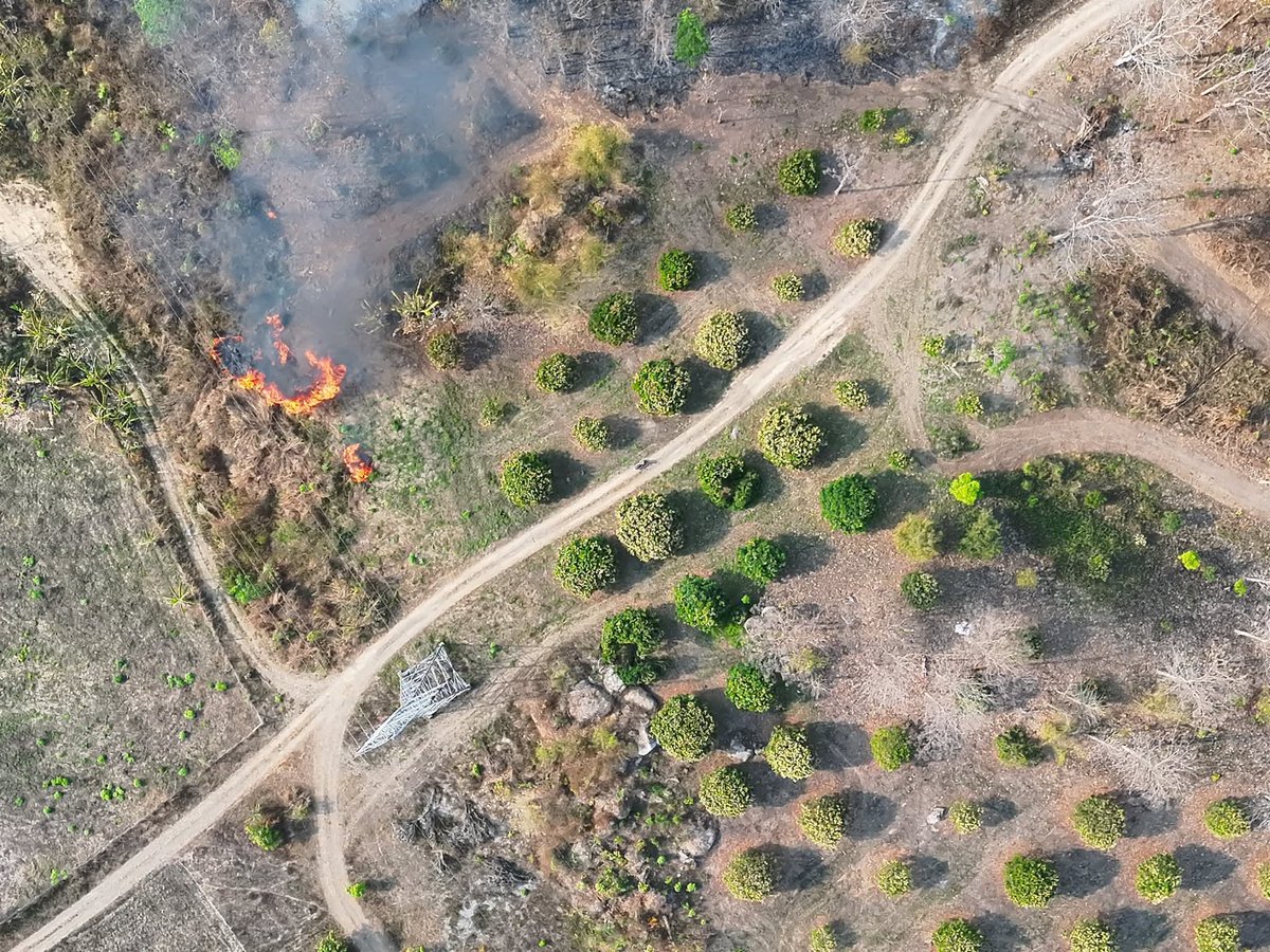 น่าสนใจว่าตั้งแต่มีการใช้โดรนตรวจจับความร้อนและลาดตระเวณสามารถจับภาพผู้กำลังจุดไฟเผาได้หลายกรณี

อันนี้ อบจ ลำพูน ถ่ายภาพได้และดำเนินการจับกุม