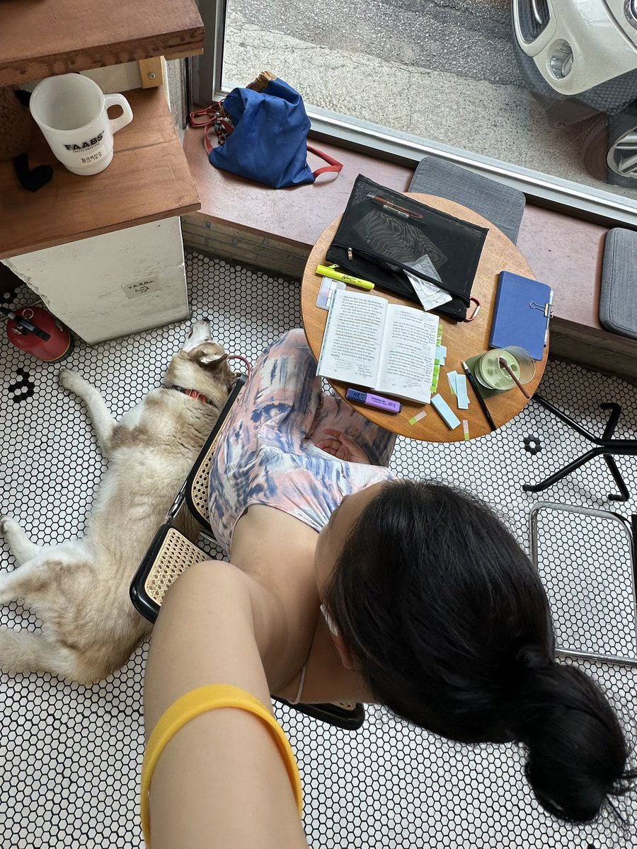 심미섭 tweet media