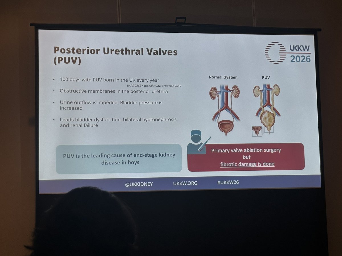 The RPSG tweet media