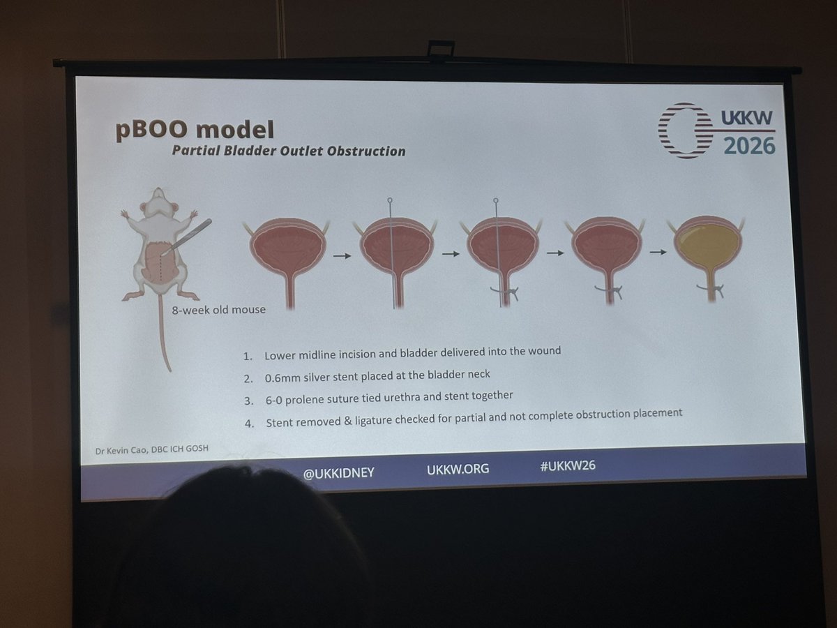 The RPSG tweet media