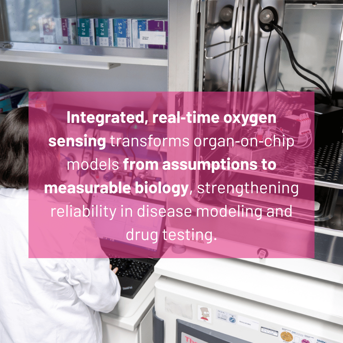 Dynamic42 GmbH tweet media