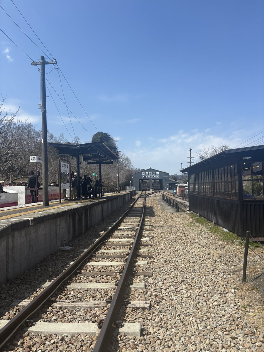 チキンナンゴー ぶぎー tweet media