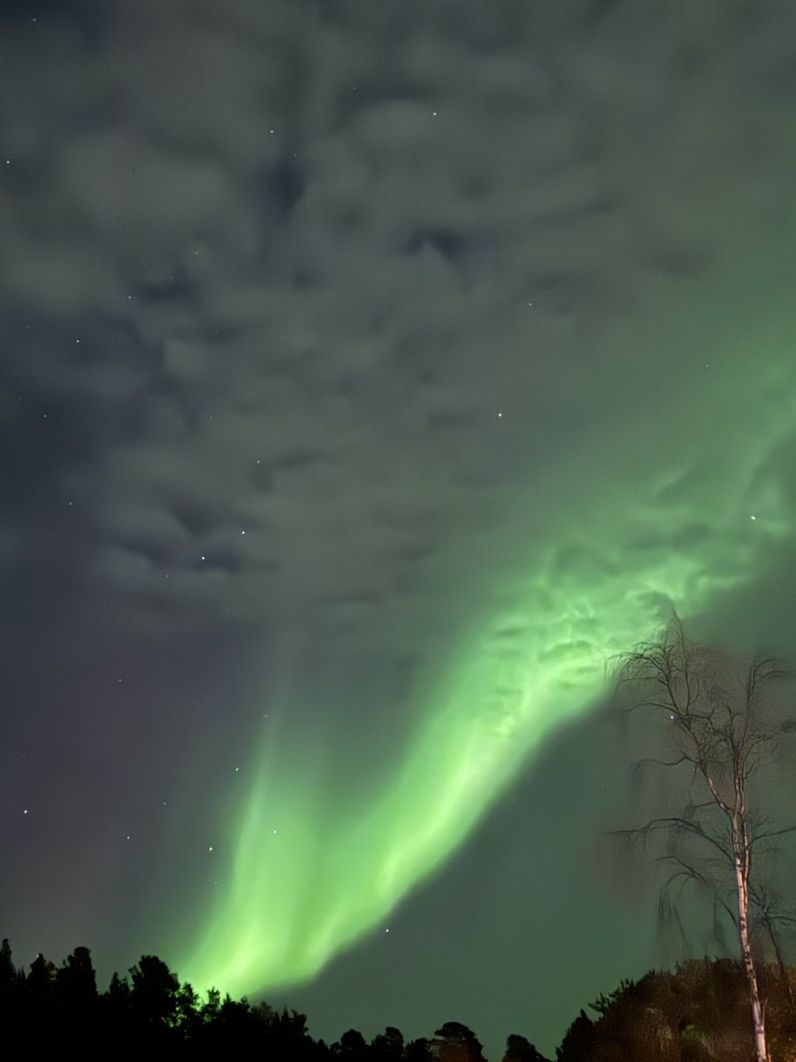 Dr. Steven Kaplan tweet media