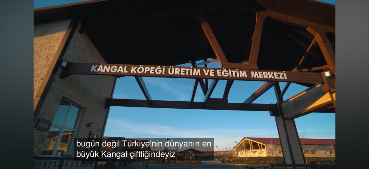 cansue tweet media