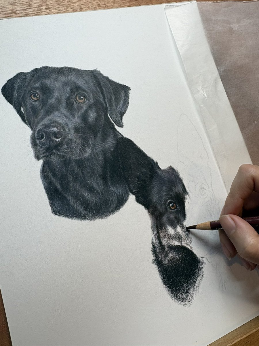 Megan Elizabeth - Artist tweet media