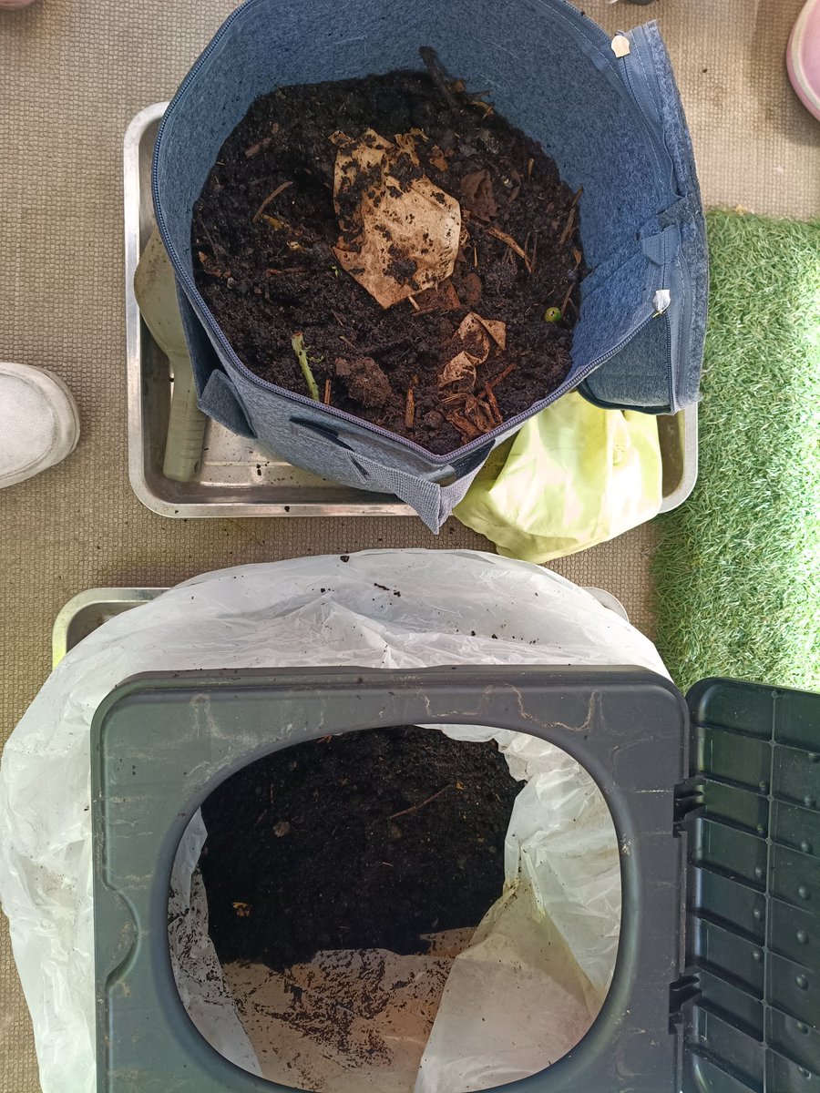 satoru36veget's tweet image. 2026/…3/12
Amazonセールでお安くなってたのでMサイズ買ってみたら思ったよりデカすぎて、Sサイズも買いました。Mサイズは用土の収納用に...
Sサイズで一次発酵、非常用トイレで二次発酵させようと思います。
※雌のイチョウの木の臭い桶の再就職先が見つかりました。
#本日の堆肥 
#Andall