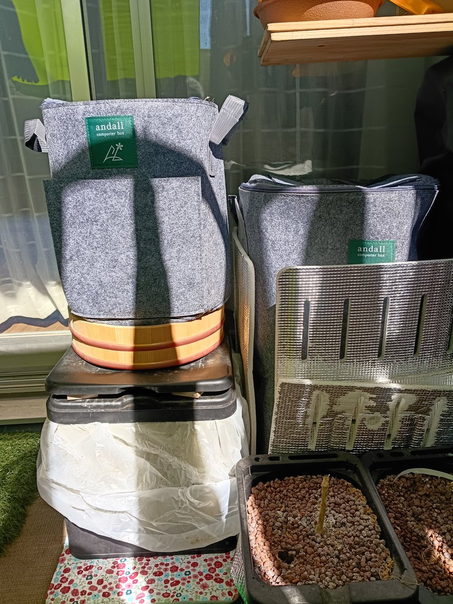 satoru36veget's tweet image. 2026/…3/12
Amazonセールでお安くなってたのでMサイズ買ってみたら思ったよりデカすぎて、Sサイズも買いました。Mサイズは用土の収納用に...
Sサイズで一次発酵、非常用トイレで二次発酵させようと思います。
※雌のイチョウの木の臭い桶の再就職先が見つかりました。
#本日の堆肥 
#Andall
