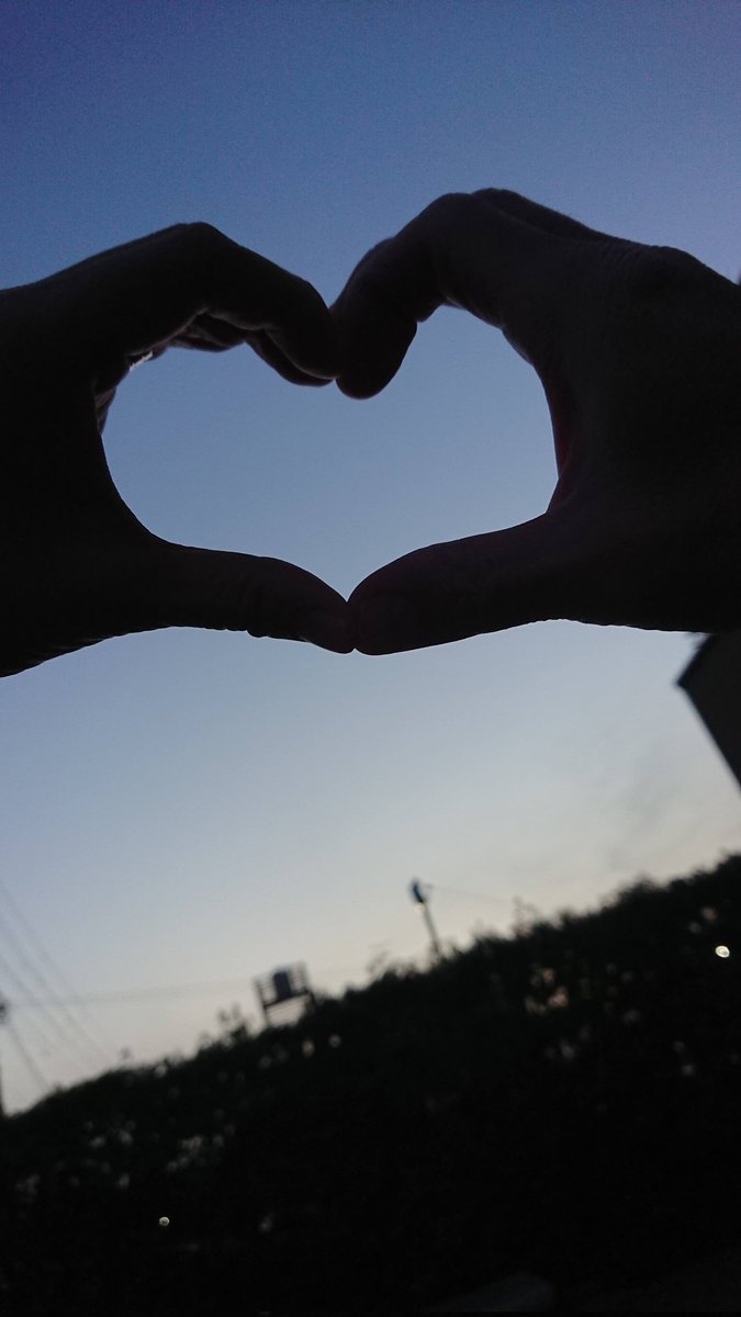 仕事から帰ったら
お庭でほらって促されて
ハートを作ったよね
愛されてた
愛してた