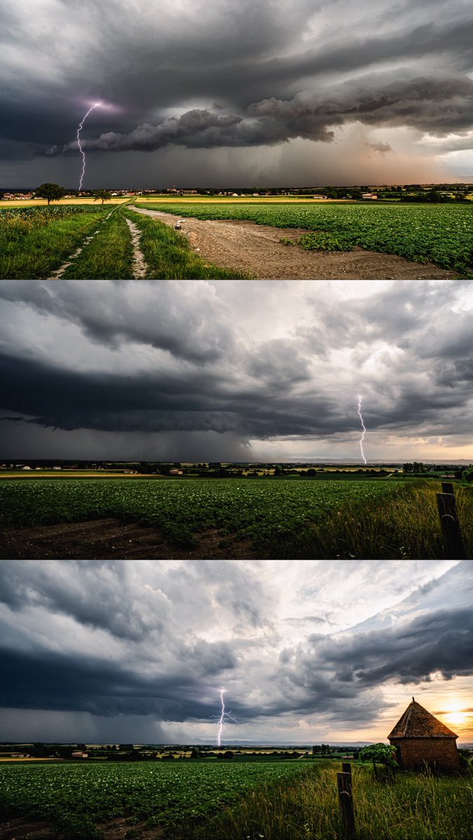 Alexis Linant 🧙 tweet media