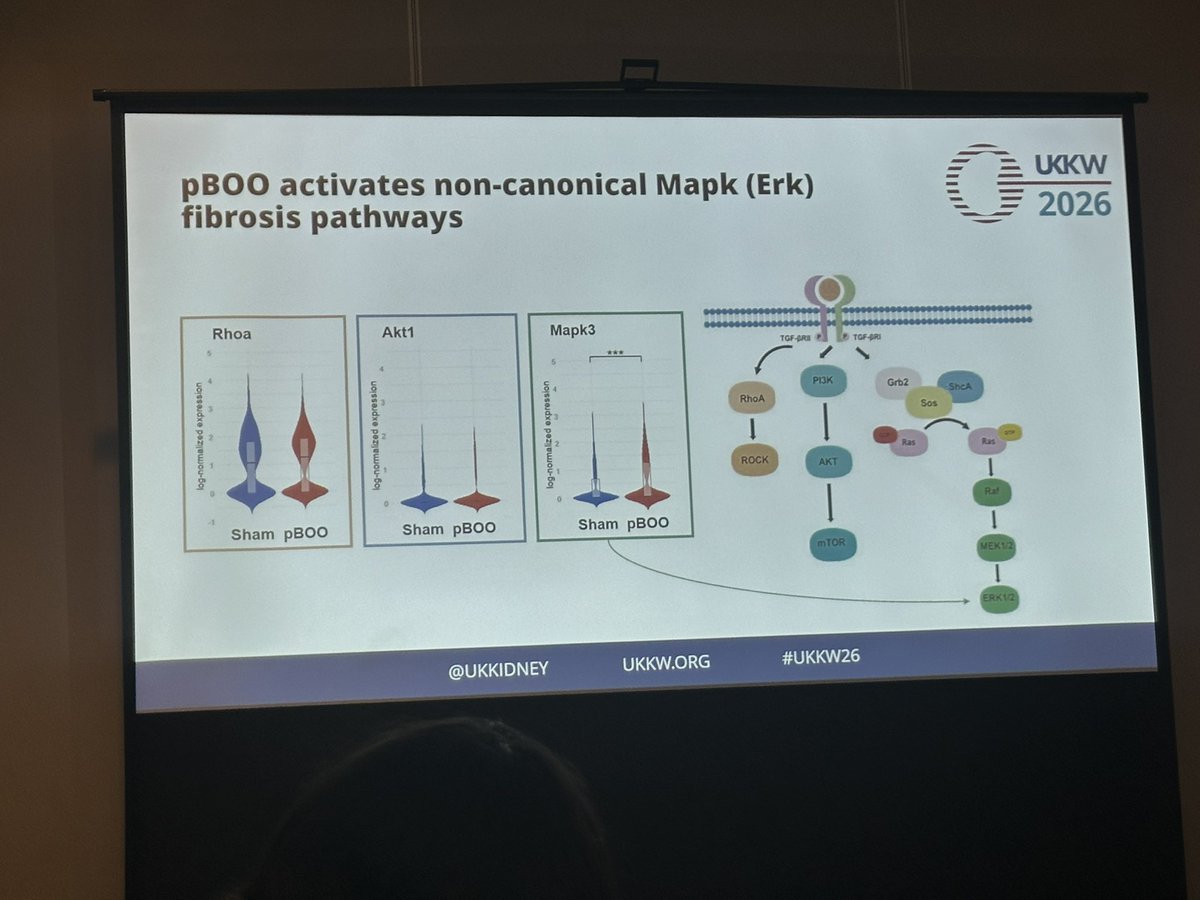 The RPSG tweet media