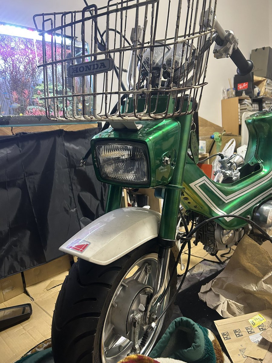 ｺｲｹｯﾁ tweet media