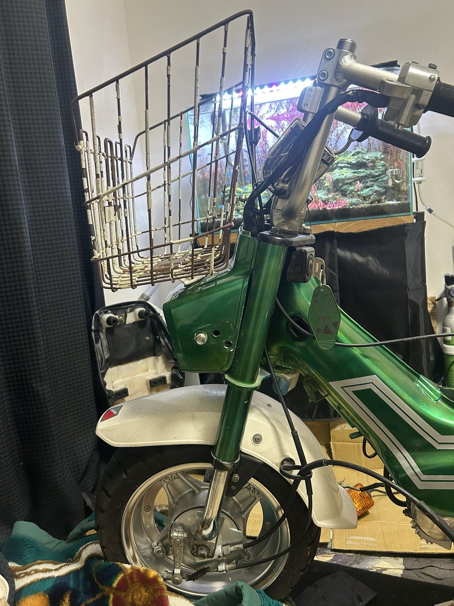 ｺｲｹｯﾁ tweet media