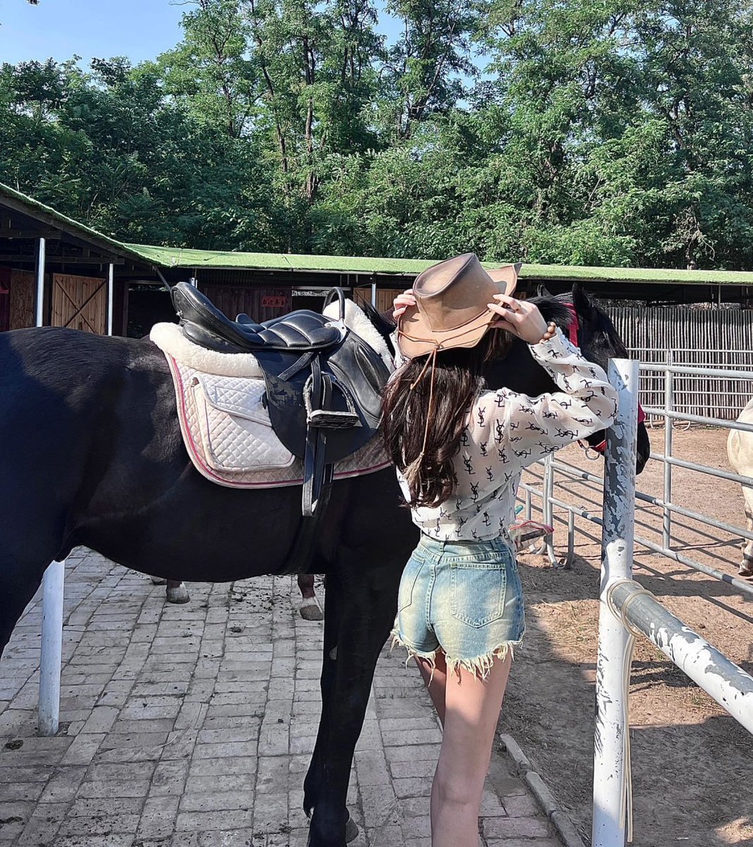 Spicketbrewco's tweet photo. Atın sırtında huzur ve macera bir arada özgürlüğün tadını çıkarmak🏇#AtYolculuğu #Doğa https://t.co/F3hMMiSKYc