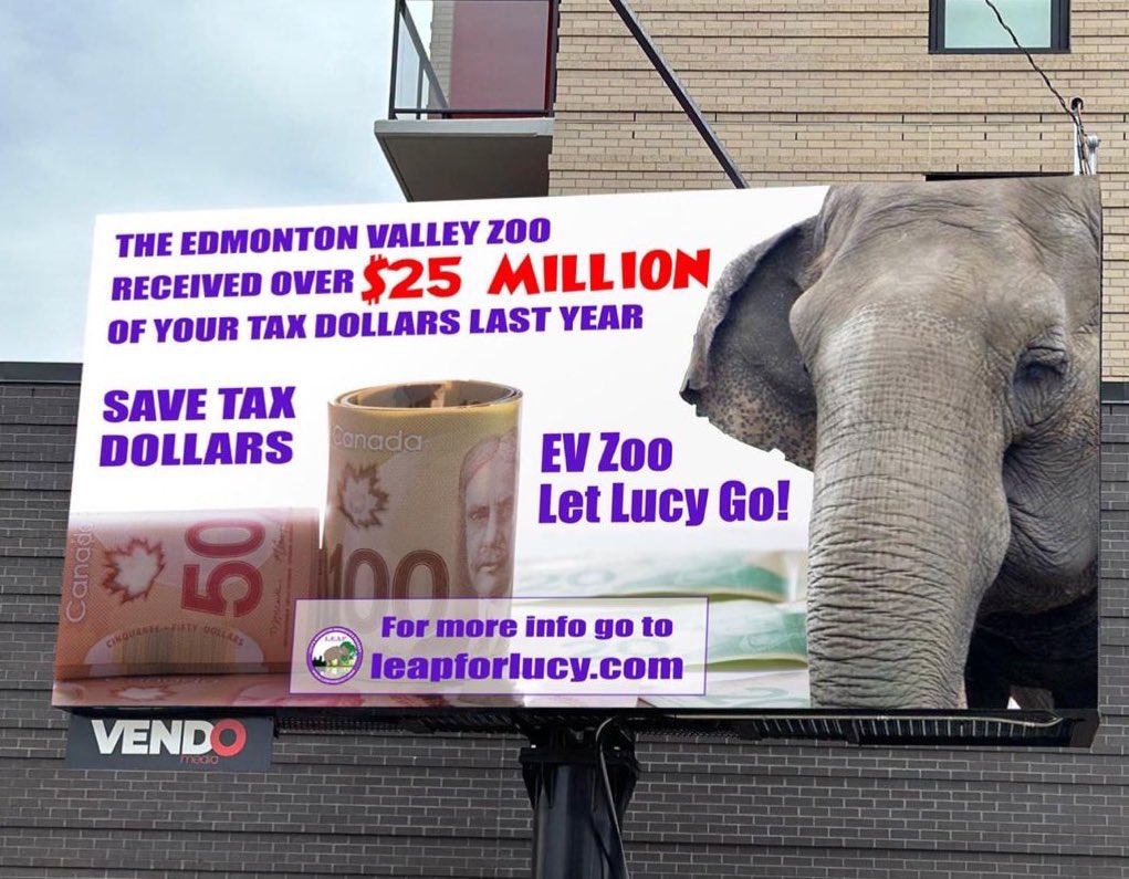 LEAP 💜 ❤️🐘🇨🇦 tweet media