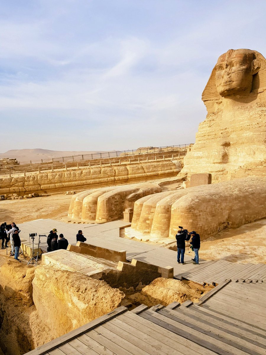 Nigel J.Hetherington tweet media