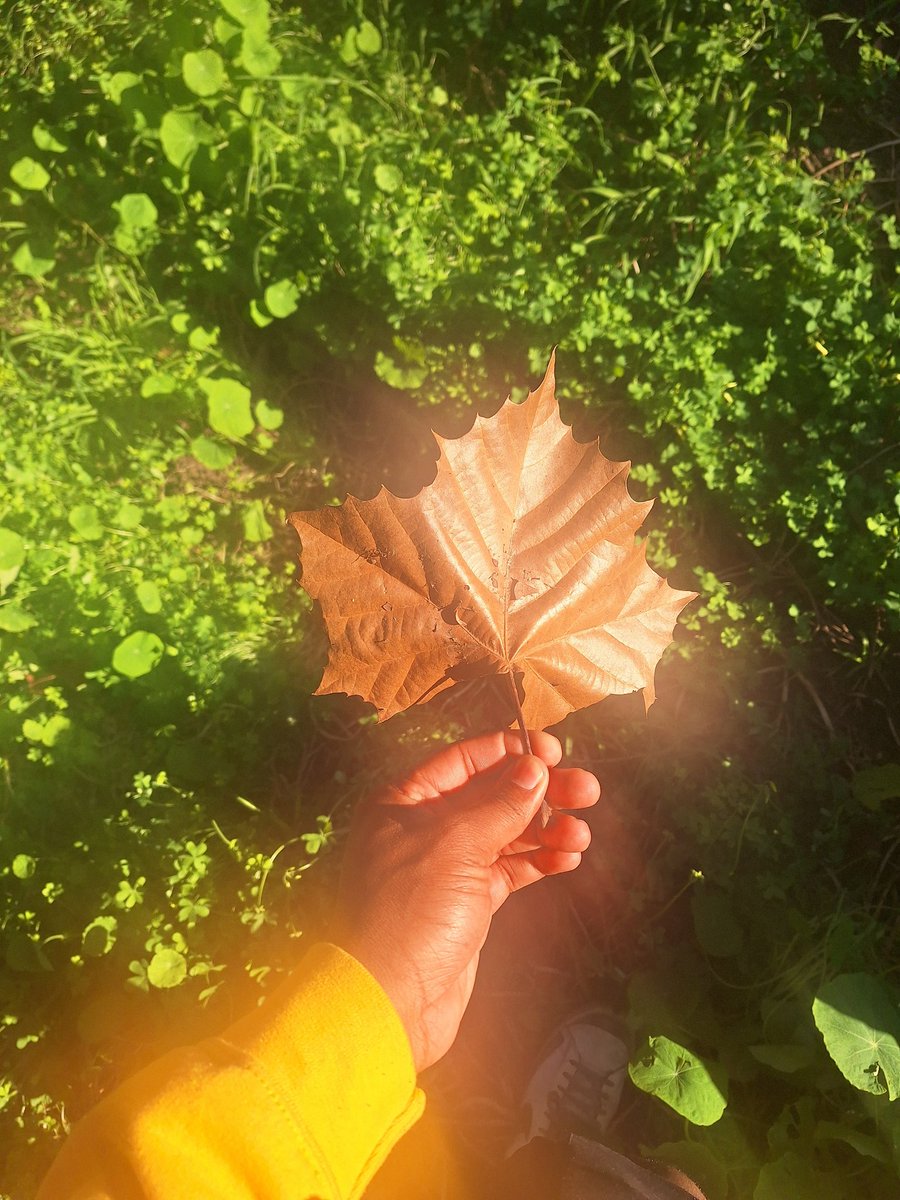 don't settle for anyone or anything!✨️