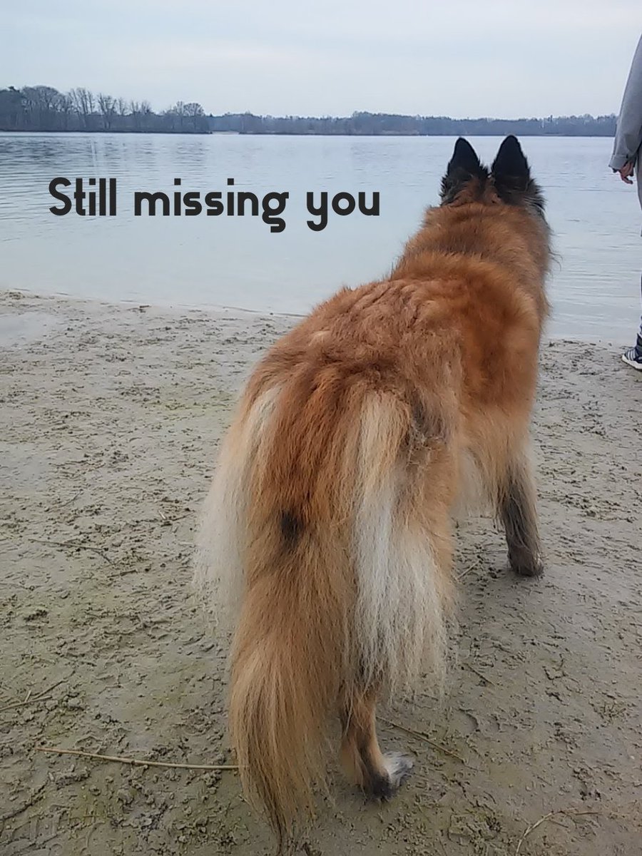 Caroline tweet media