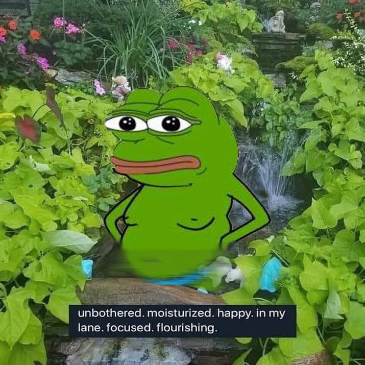 OnlyFrens tweet media
