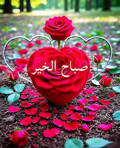 nagahlibya's tweet photo. ✍ يتجدد الشروق، وتتعاقب الصباحات، وتظل إشراقة الشمس أجمل بدايةليوم مميز.
🤲اللهم اجعل هذا اليوم مليئًا بالخيرات. 
اللهم اجعله صباحًا يملأ الأجسادعافيةوالروح فرحا، اللهم أرحنا من هموم الدنيا وارزقنا التوفيق في جميع أمورنا.
✍ لنبدأ هذااليوم بإيجابيةوأمل.
✍ صباح الخير⚘️ https://t.co/yHgwvcWCm4