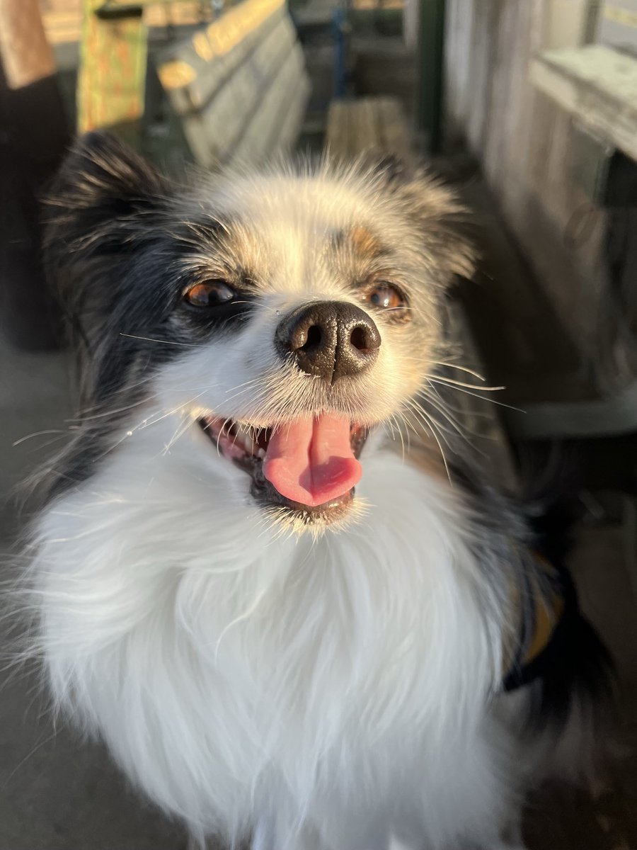 今日も笑顔がピカッてる✨