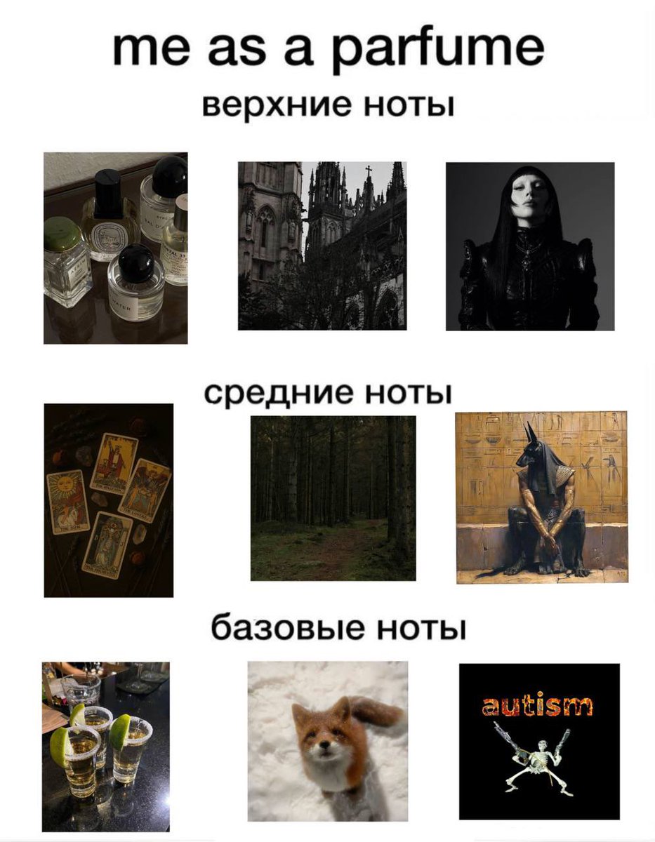 фокс колдунский пёс tweet media