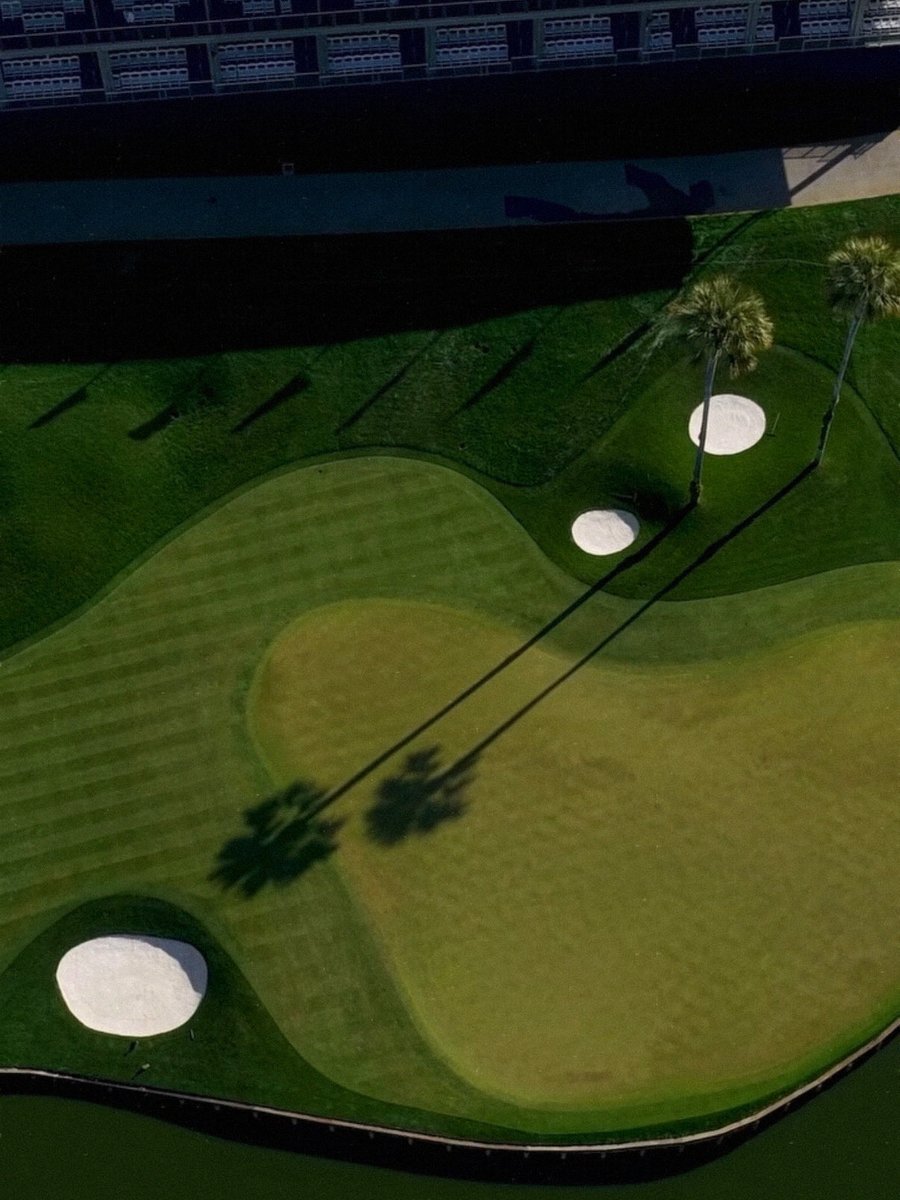 Janvs Golf tweet media