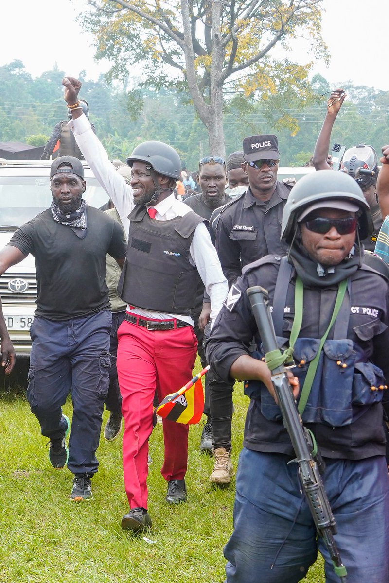 BOBI WINE tweet media