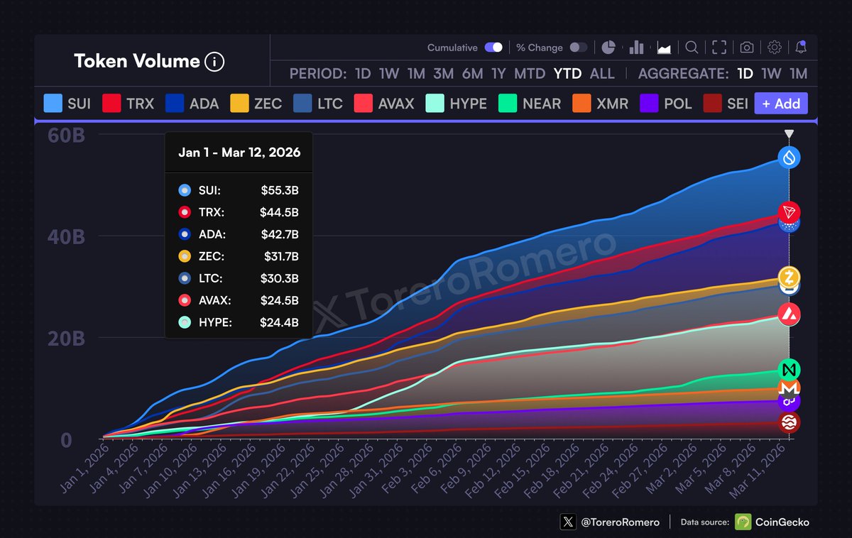 ToreroRomero tweet media