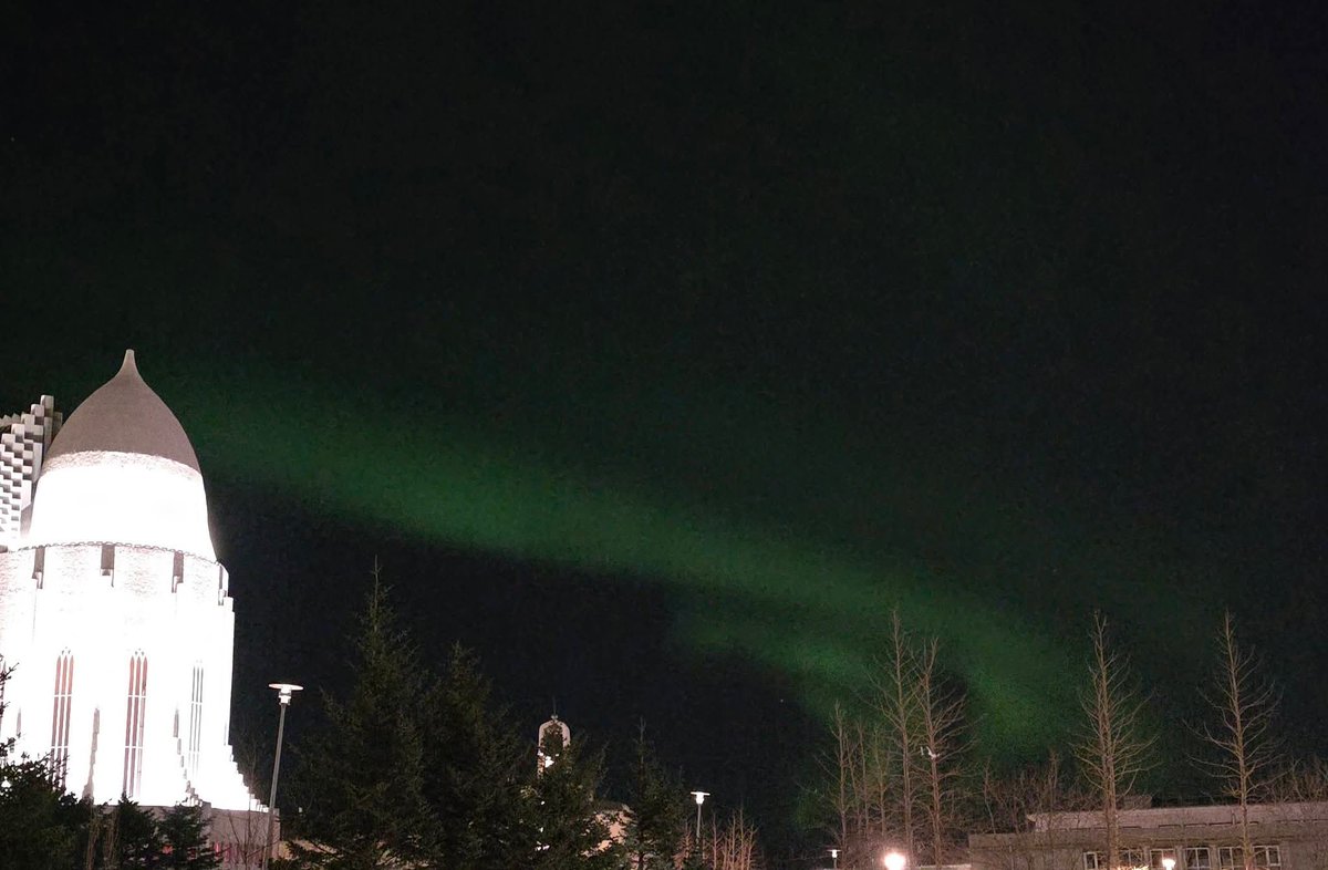 HallidayTp's tweet photo. Reykjavik, February 2026. https://t.co/JdWlbGFT3v