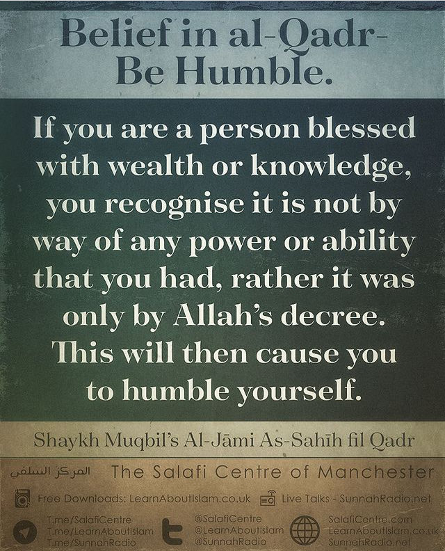 Omer Shoaib/عمر شعيب tweet media