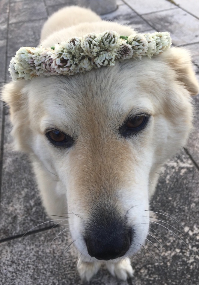 損切り全損@入金15万→10万 tweet media