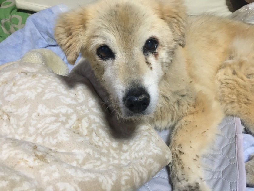 損切り全損@入金15万→10万 tweet media