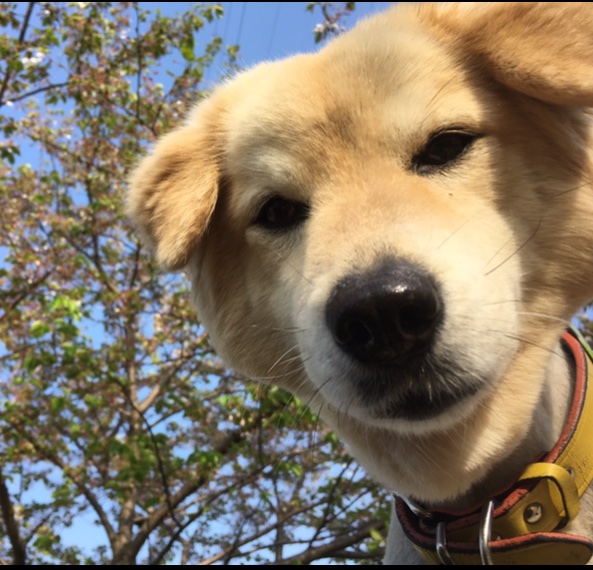 損切り全損@入金15万→10万 tweet media