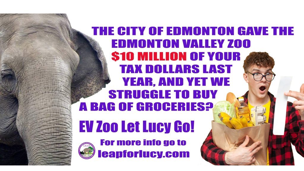 LEAP 💜 ❤️🐘🇨🇦 tweet media