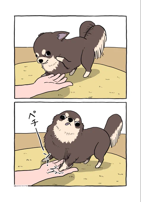 ドヤお手
#まじイヌ 