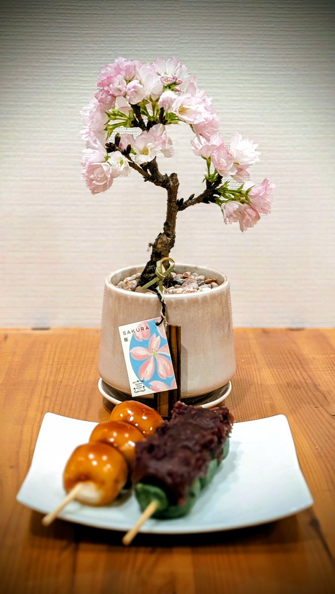 小池宏幸@Piascore tweet media