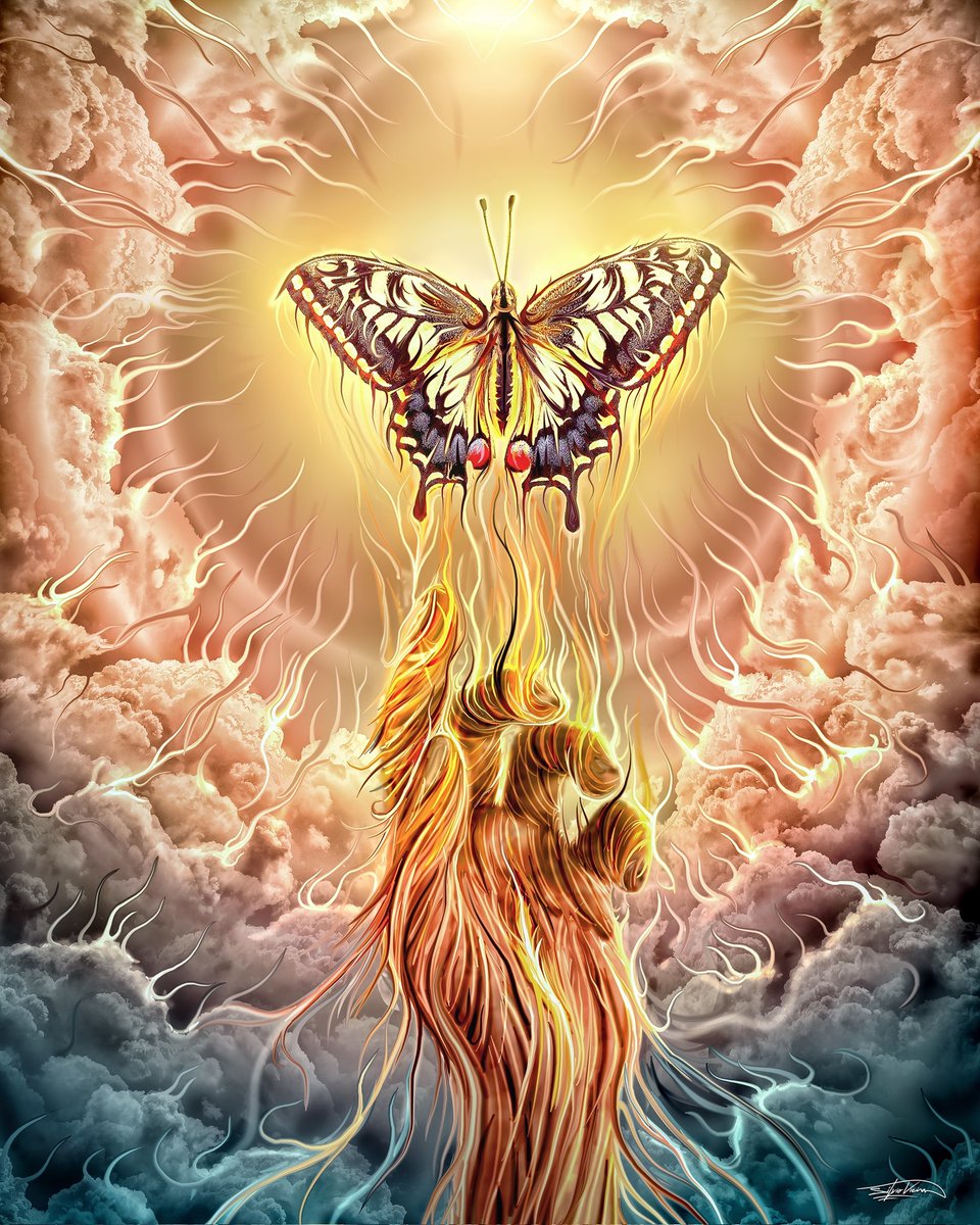 Silvio Vieira tweet media