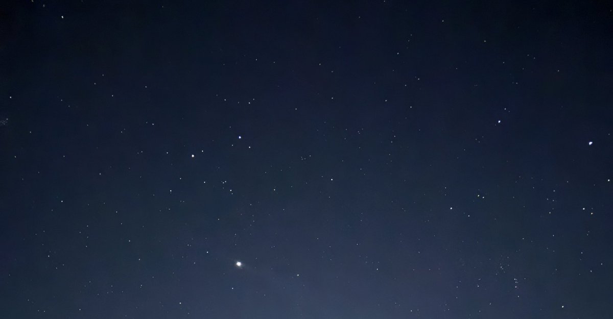 소슬바람 tweet media